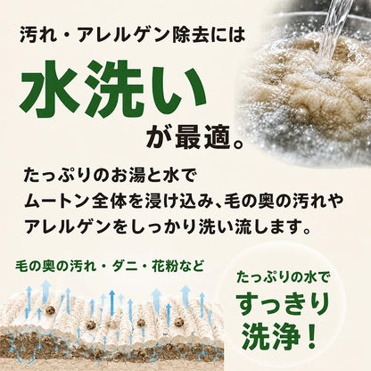 [保管付] ムートン寝具クリーニング